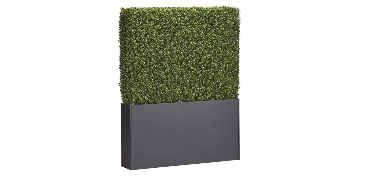 Indoor-Outdoor Boxwood Hedge - Image 2