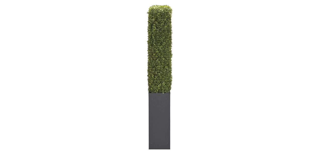 Indoor-Outdoor Boxwood Hedge - Image 3