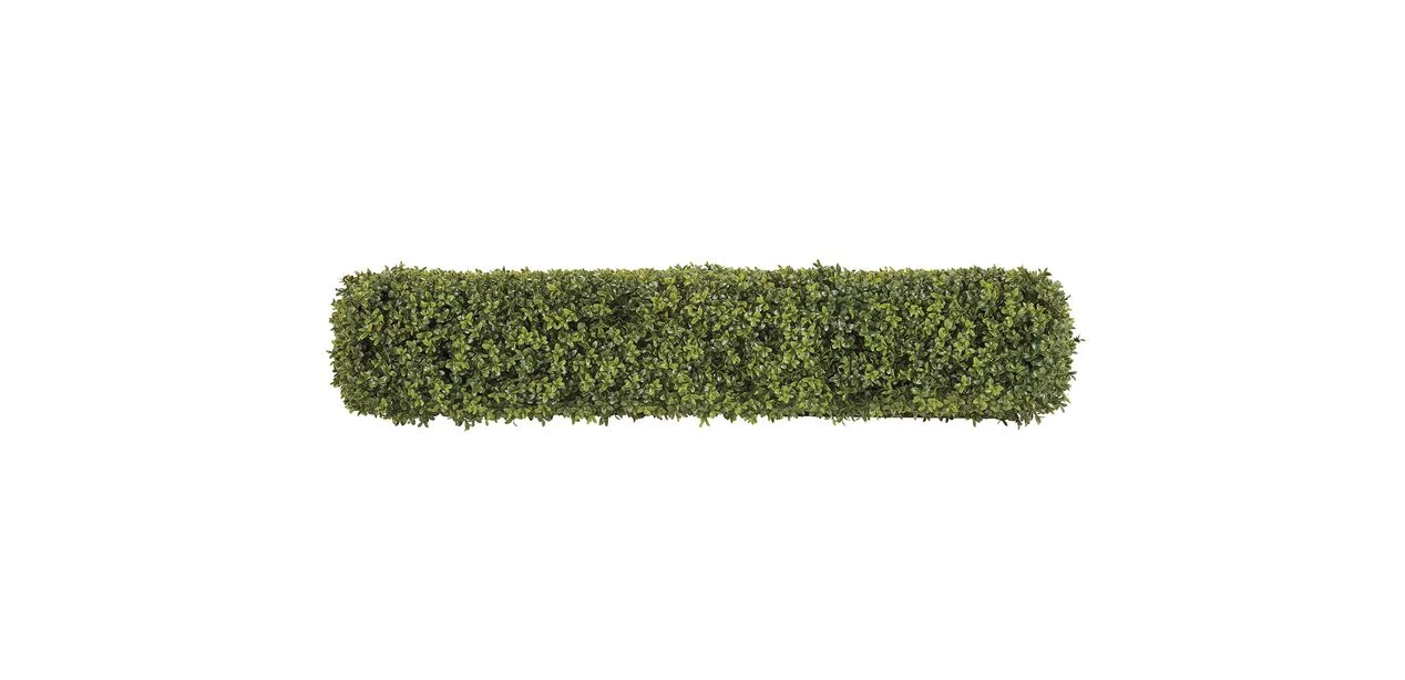 Indoor-Outdoor Boxwood Hedge - Image 4