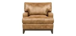Arcata Leather Chair