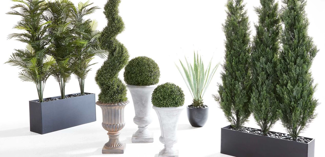 Indoor-Outdoor Spiral Rosemary Tree - Image 2